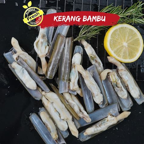 Jual Kerang Bambu Segar Frozen 1 Kg Shopee Indonesia