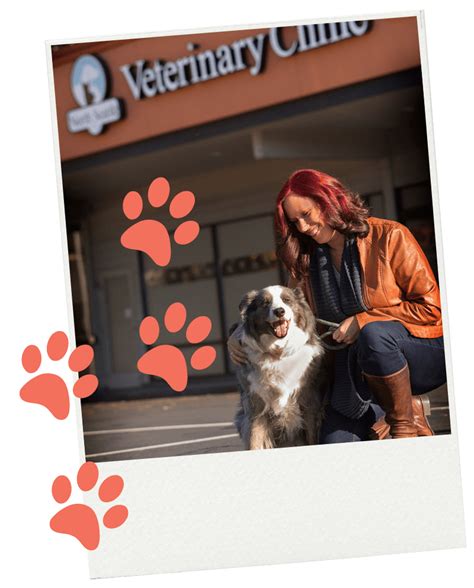 Best Vet Hospital In Seattle | North Seattle Veterinary Clinic