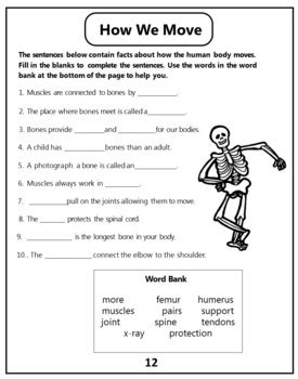 Skeleton Editable Worksheets Ms Marwa Tarek By Ms Marwa Tarek