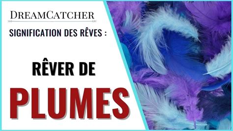 RÊVER DE PLUMES SIGNIFICATION DES RÊVES INTERPRÉTATIONS DES RÊVES