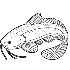 Realistic Catfish Coloring Page Free Printable Pages