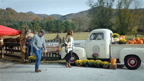 IMCDb Org 1948 Ford F 1 In Blue Ridge 2020