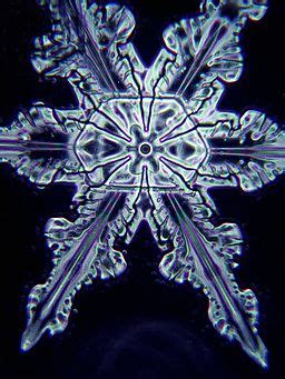 Snowflakes under a Microscope - Careful Preparation and Observation