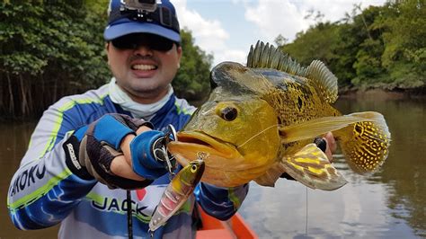 TUCUNARES NA ISCA BONNIE 95 Pescaria 100 superfície em Belém do Pará