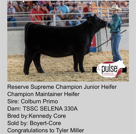 2019 Illinois State Fair Competitive Edge Genetics