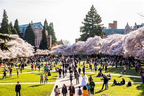 Colleges and schools | About the UW 