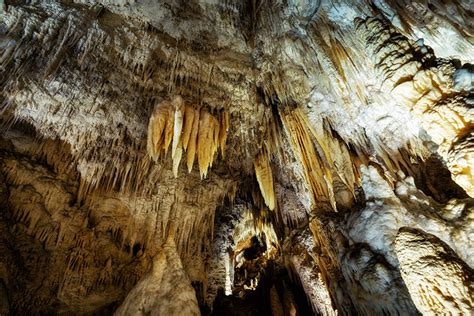 Waitomo Caves Rotorua Tour Including Te Puia Cheeky Kiwi Travel