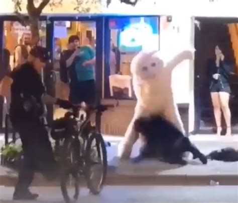 WATCH: Orlando Easter Bunny Gets In Fight