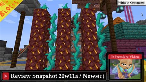 Twisting Vines Nether Gold Ore And Soul Speed Ench Snapshot 20w11a