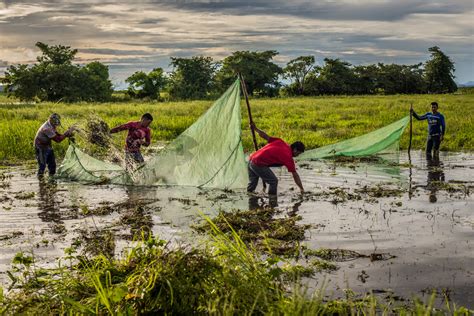 Pesca Sostenible Una Pr Ctica Social Con Bajo Impacto Ambiental Wwf