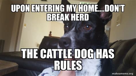 Upon Entering My Homedont Break Herd The Cattle Dog Has Rules