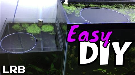 Diy Feeder Ring What Why And How For Aquarium Plants When Your Floating