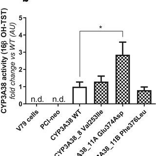 Catalytic Activity Of V79 Cells Expressing Wild Type And Mutant A