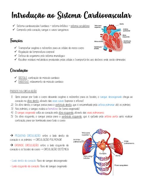 2 Introdução Ao Sistema Cardiovascular Download Grátis Pdf Sistema Circulatório Coração