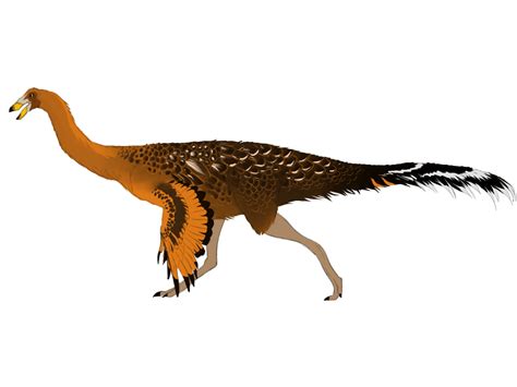 Gallimimus by Medenadragon on DeviantArt