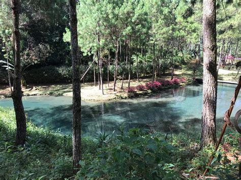 Actividades Finca Chijul Lugar Tur Stico Alta Verapaz