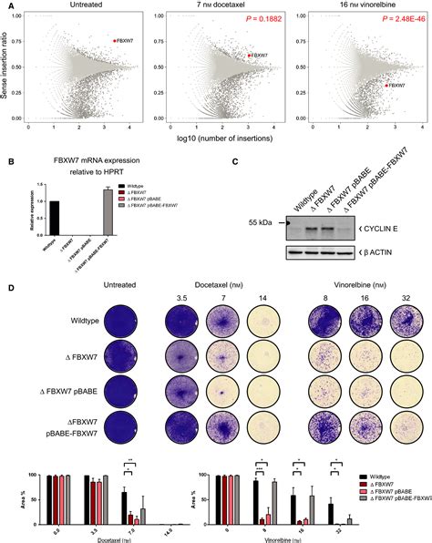 Haploid Genetic Screens Identify Genetic Vulnerabilities To Microtubule