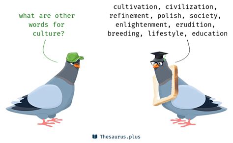 Culture Synonyms and Culture Antonyms. Similar and opposite words for ...