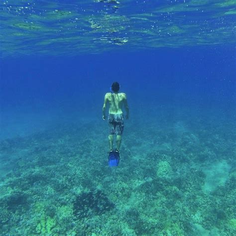 Snorkeling in Hawaii : gopro