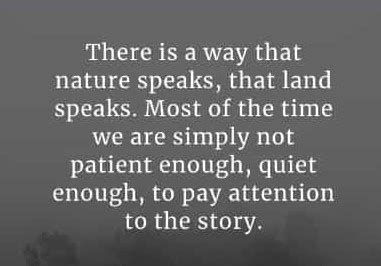 ‘Let Nature Speak’ – Inspirational thoughts from everyday life