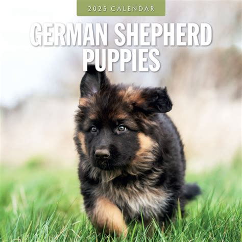 Duitse Herder Puppies Kalender 2025 Kopen Eenvoudig En Snel Online