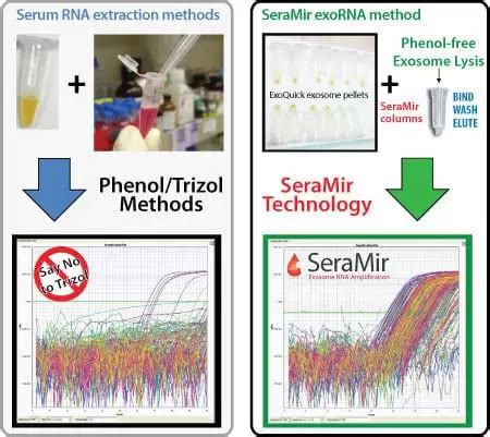 Exosome Microrna Amplification Profiling