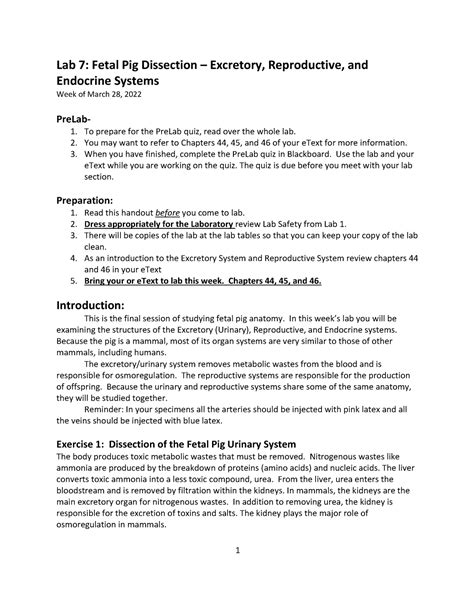 Lab Fetal Pig Dissection Excretory Reproductive Endocrine Systems
