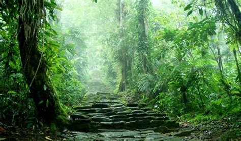 Lugares Para Hacer Senderismo O Trekking En Colombia Azimut Extremo