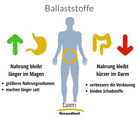 Der Kohlenhydrate Guide Essen Gesundheit