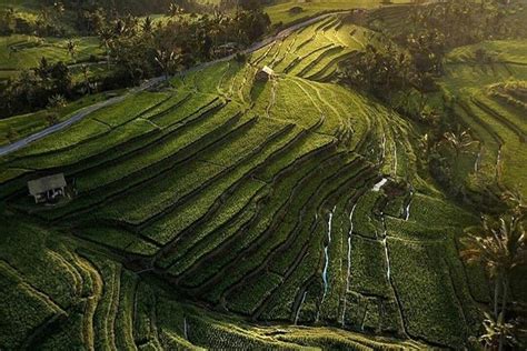 Full Day Bedugul Temple Unesco Rice Terrace Tanah Lot Temple