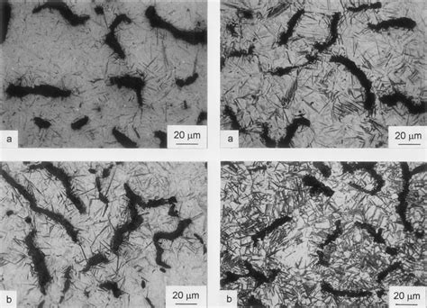 Microstructure of alloy A on the left and alloy B on the right after ...