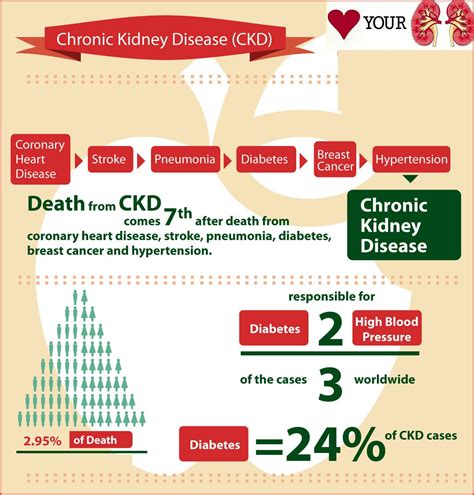 Different Stages Of Kidney Failure