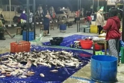 Pasar Ikan Balekambang Jadi Destinasi Wisata Baru Solo Antara News