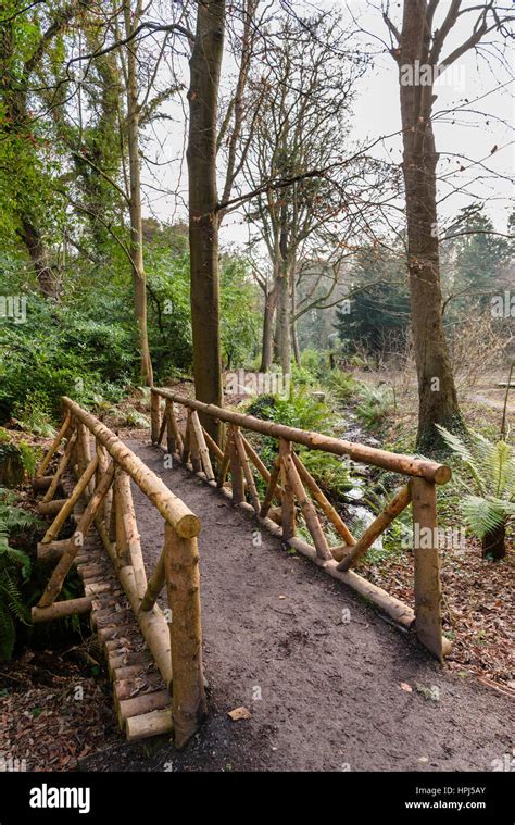 Wooden Bridge Over A Small Stream In A Forest Stock Photo Alamy