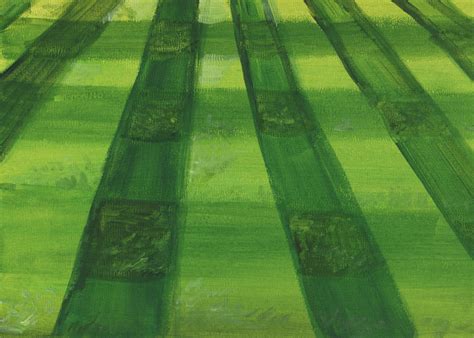 field goal rbackdrops