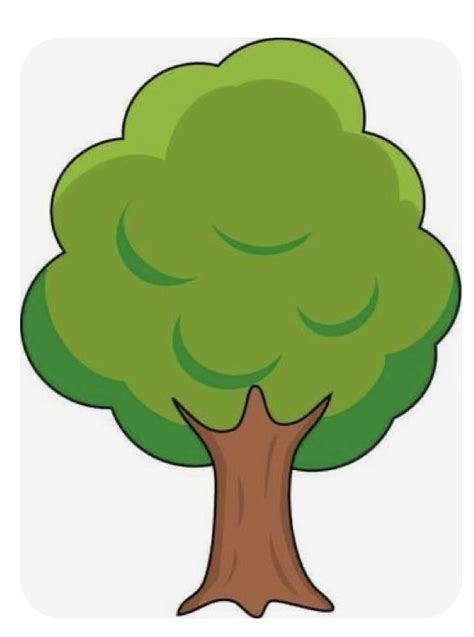 A Cartoon Tree With Green Leaves And Brown Trunk