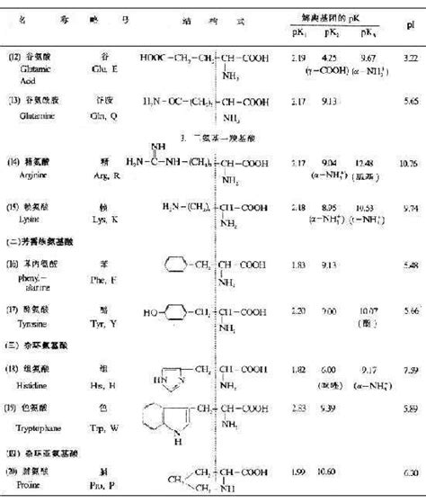 蛋白质分子的组成 《生物化学与分子生物学》在线阅读 【中医宝典】