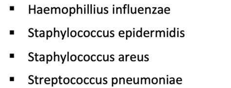 The Human Microbiome Flashcards Quizlet