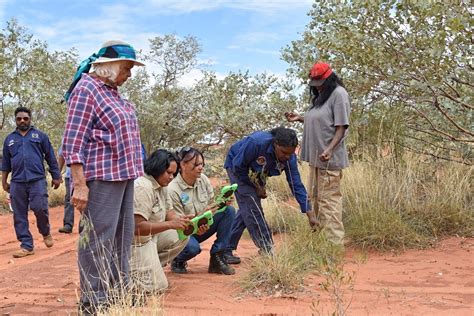 Bi Lingual App Helps Indigenous Rangers Track Threatened Species Csiro