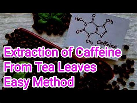 Extraction Of Caffeine From Tea Leaves Isolation Of Caffeine From Tea