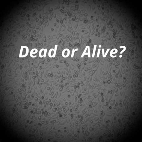 literature highlight dead  alive ligandtracer