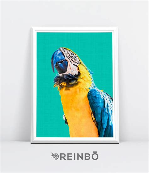 Parrot Wall Art Tropical Bird Print Bird Photography Macaw Parrot