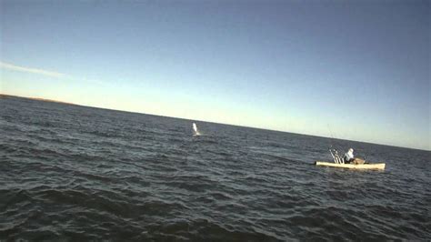 parallel teaser youtube