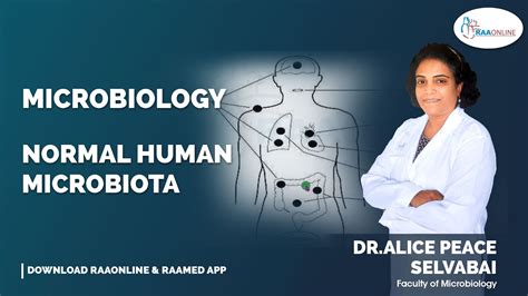 Normal Human Microbiota YouTube