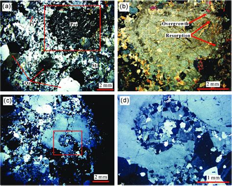 Representative Photomicrographs Showing The Textural Characteristics Of Download Scientific