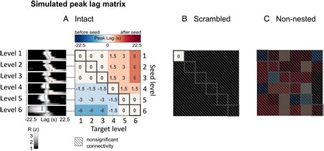 Information Flow Across The Cortical Timescale Hierarchy During