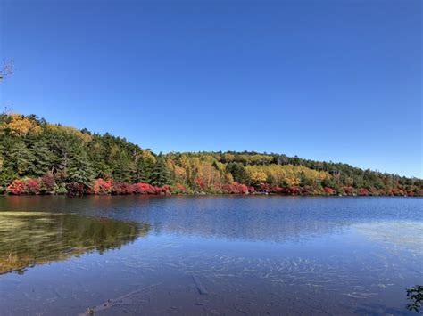 東天狗岳・ニュウ⛰と白駒池 ～秋を満喫・紅葉🍁と美食🍽を求めてのんびりハイク～ Masseさんの八ヶ岳（赤岳・硫黄岳・天狗岳）の活動データ