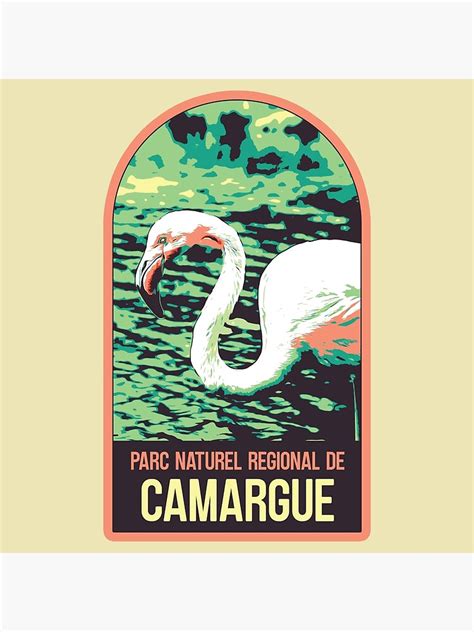 Camargue Natural Regional Park France Pink Flamingo Delta Du Rh Ne