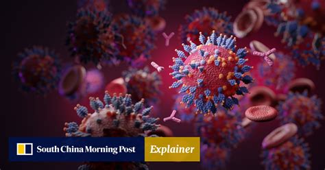 Explainer Will The Coronavirus Continue To Evolve After Omicron And