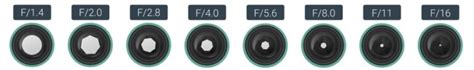 camera settings guide    photography settings